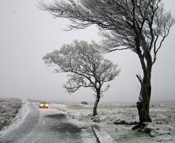 ireland_snow_snowing_snow_landscape_winter_storm_trees_car-1254663