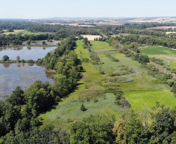 jistebnické mokřady