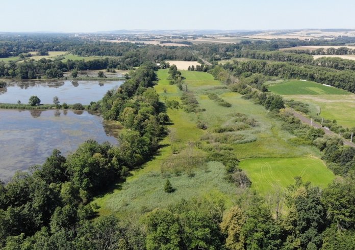 jistebnické mokřady