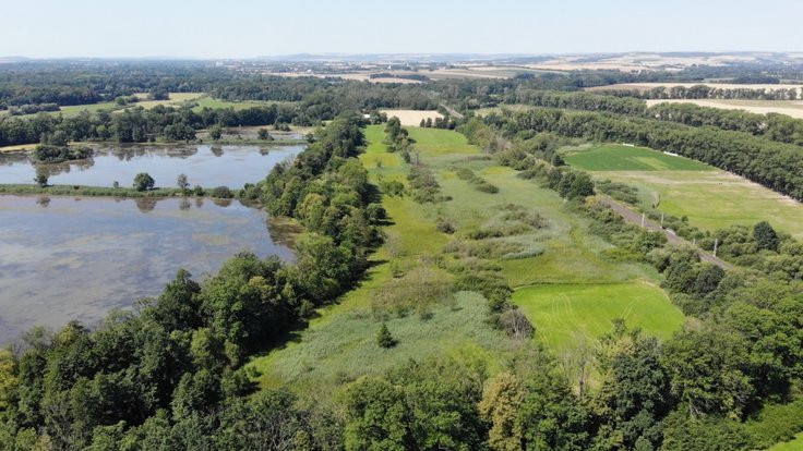 jistebnické mokřady
