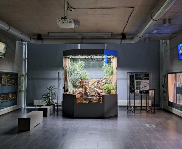paludarium