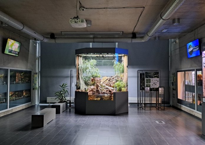 paludarium