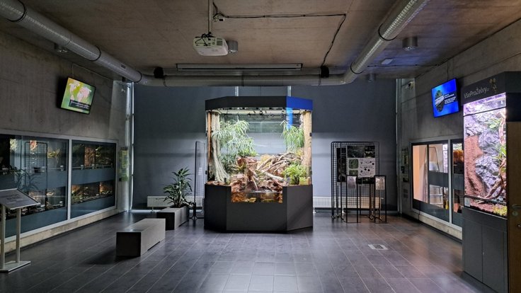 paludarium