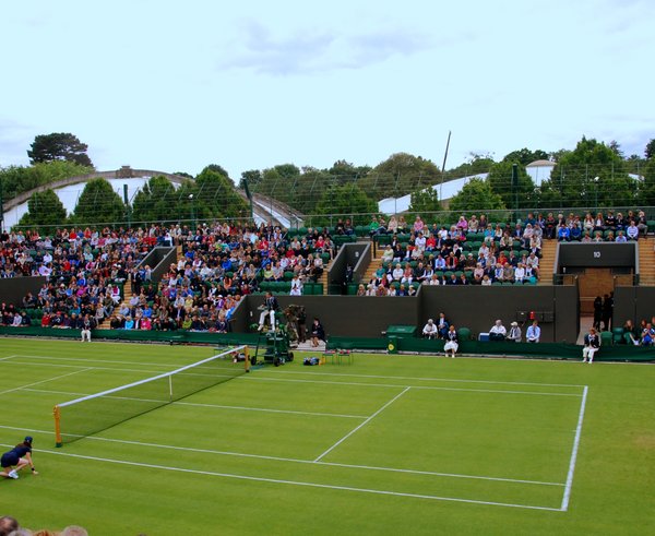 kurt ve Wimbledonu.