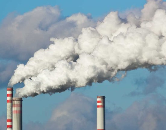 martin33_AdobeStock_66652891_RV