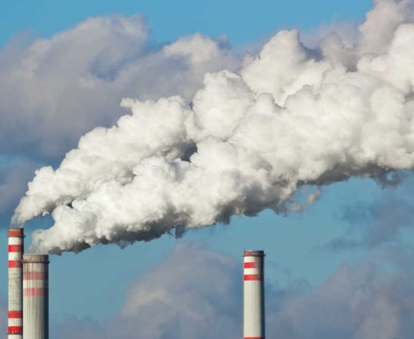 martin33_AdobeStock_66652891_RV