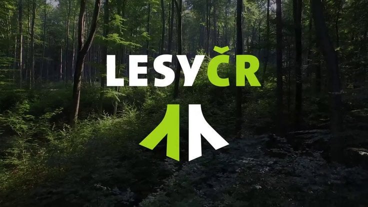 Lesy ČR