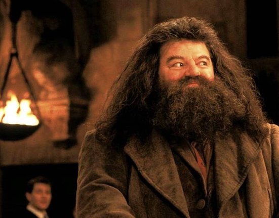 Robbie Coltrane jako Hagrid