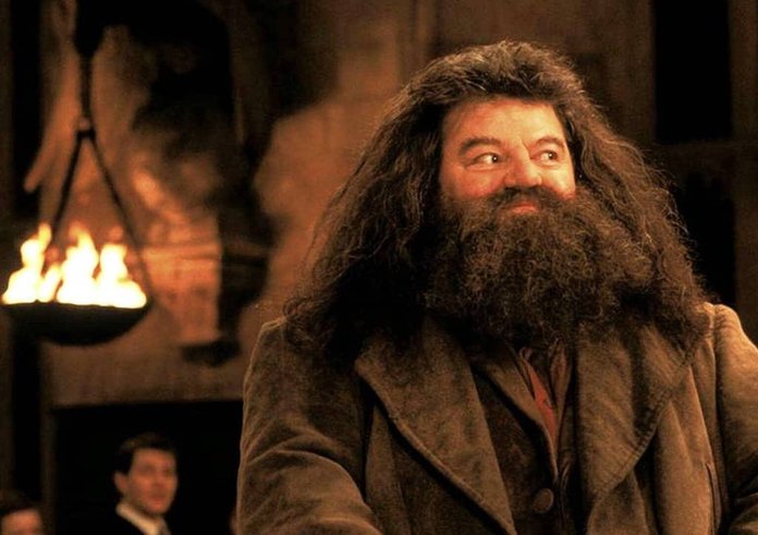 Robbie Coltrane jako Hagrid