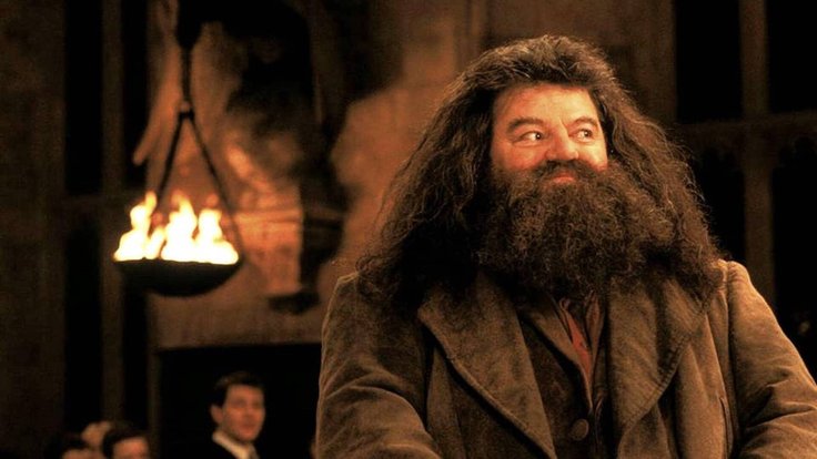 Robbie Coltrane jako Hagrid