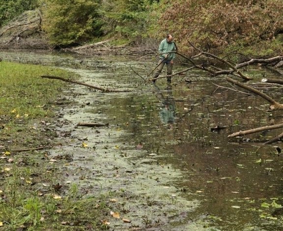 Mikulčické rameno v CHKO Soutok