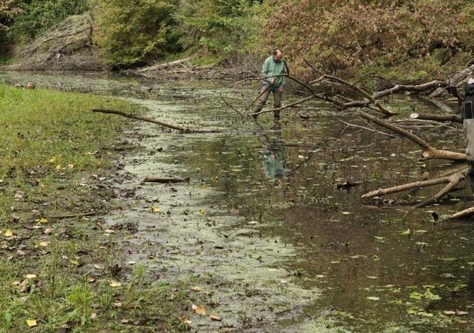 Mikulčické rameno v CHKO Soutok
