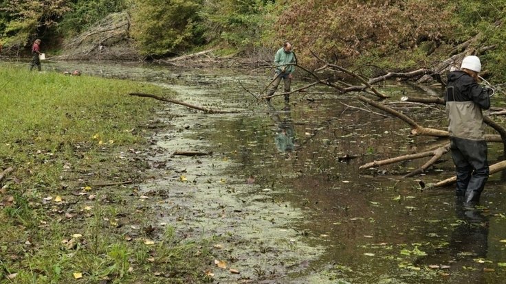 Mikulčické rameno v CHKO Soutok