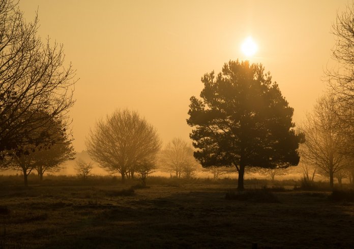 morgenstimmung_heide_wahner_pagan_sunrise_hazy_foggy_fog_mood-896557