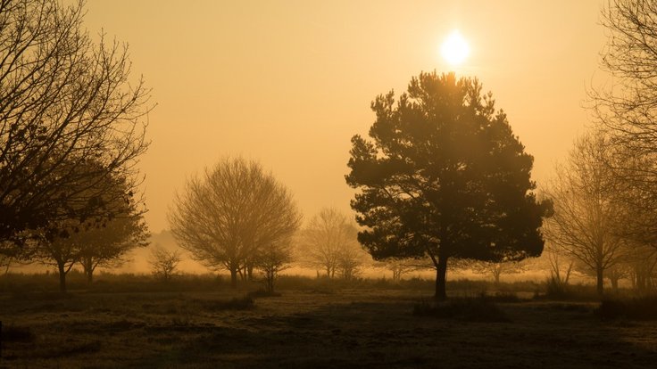 morgenstimmung_heide_wahner_pagan_sunrise_hazy_foggy_fog_mood-896557