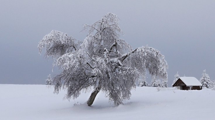 mountains_winter_snow_tree_landscape_snowy_nature_christmas_landscape-1205947 (1)