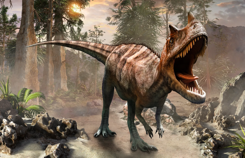 nationaldinosaurmuseum com