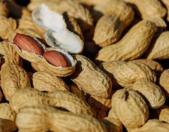 nuts-1736520_1280 (1)