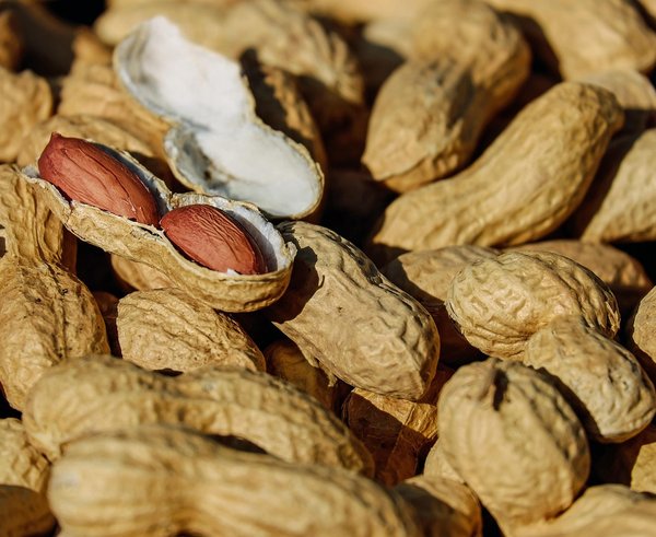 nuts-1736520_1280 (1)