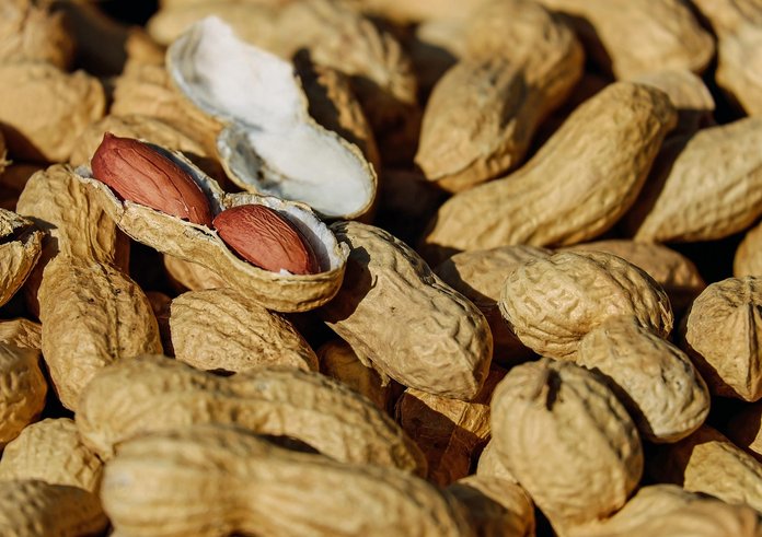 nuts-1736520_1280 (1)