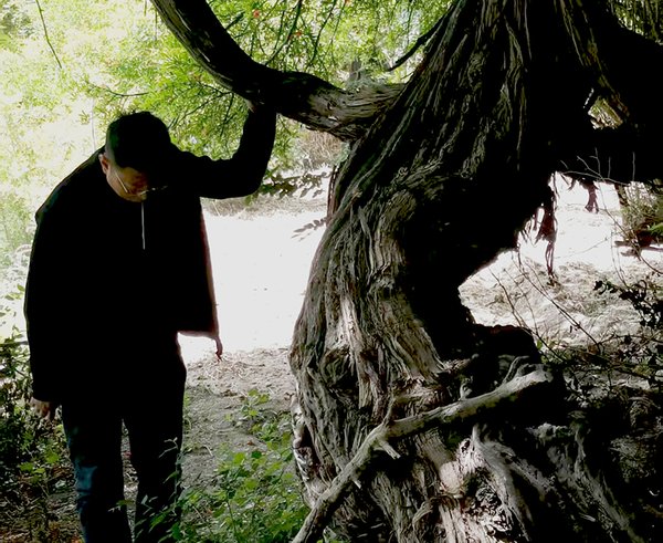 Na východě Tibetu roste divoká vinná réva stará 416 let.