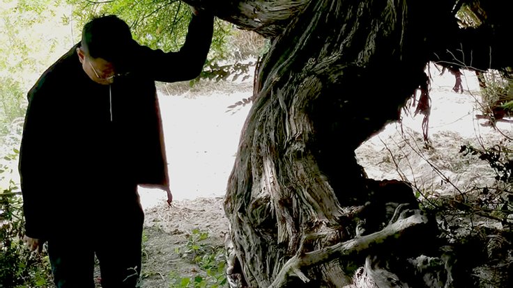 Na východě Tibetu roste divoká vinná réva stará 416 let.