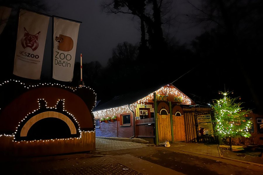 Vánočně osvětlená Zoo Děčín
