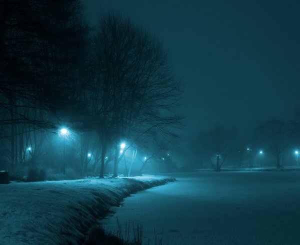 park_night_winter_the_fog_lamp_dark_municipal_warsaw-1189617