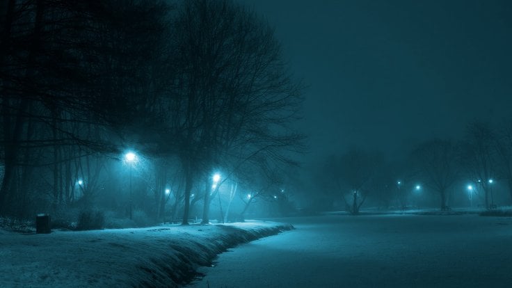 park_night_winter_the_fog_lamp_dark_municipal_warsaw-1189617