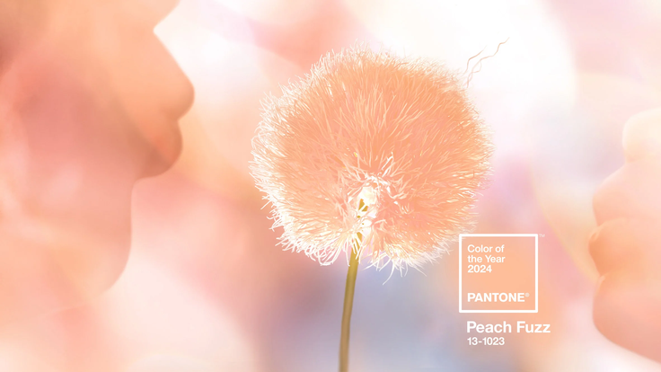 Barvou roku 2024 je odstín Peach Fuzz