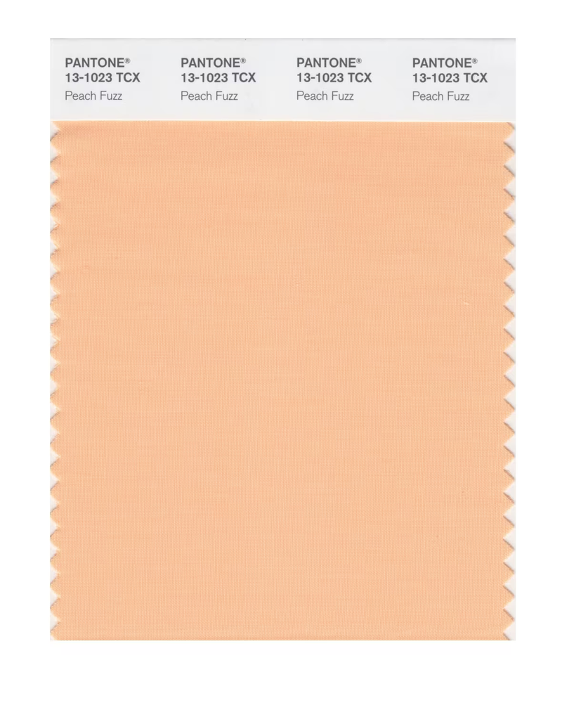 Barvou roku 2024 je odstín Peach Fuzz