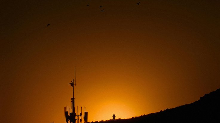 pexels-photo-10991868