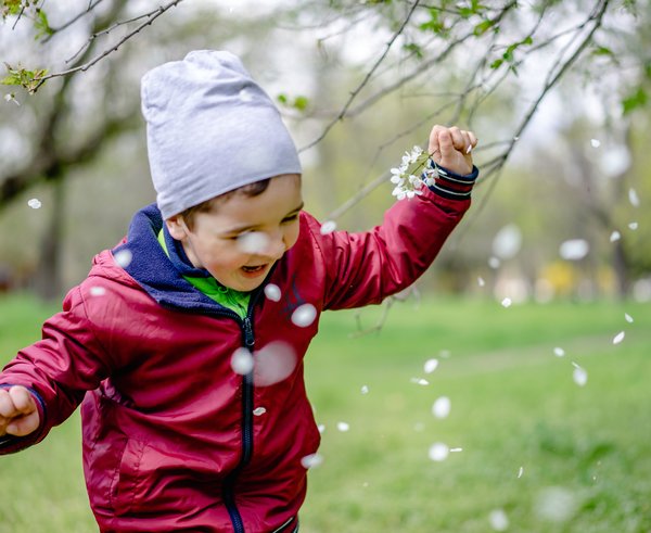 pexels-photo-12960390