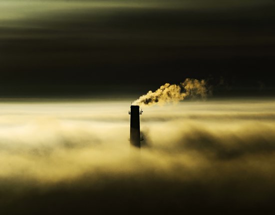 pexels-photo-8884963