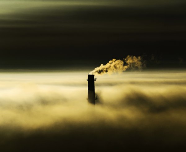 pexels-photo-8884963