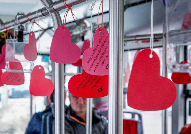 phpThumb_generated_thumbnail