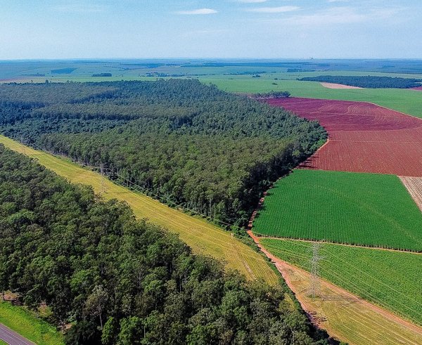 plantáž