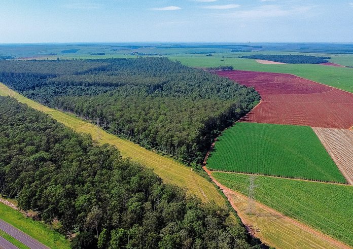plantáž