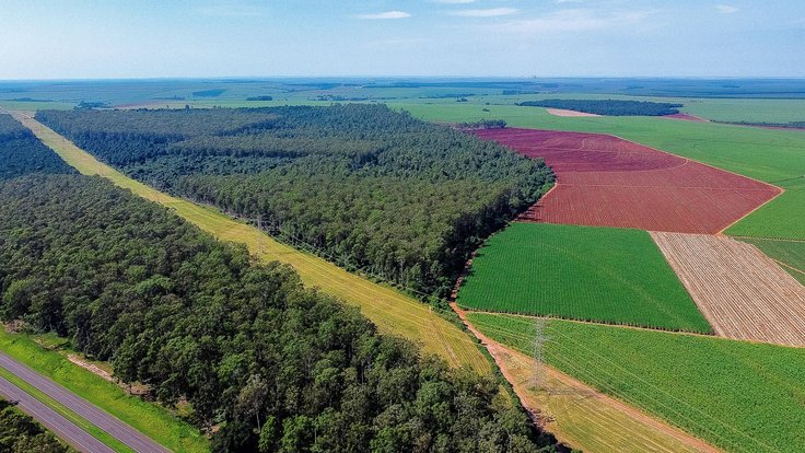 plantáž