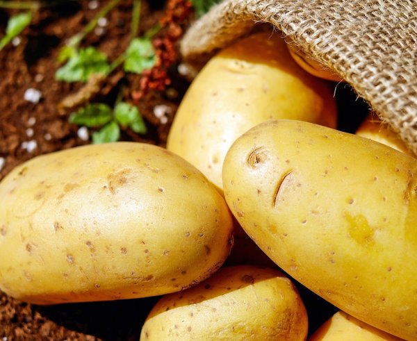 potatoes_vegetables_erdfrucht_bio_harvest_potato_sack-548418 (1)