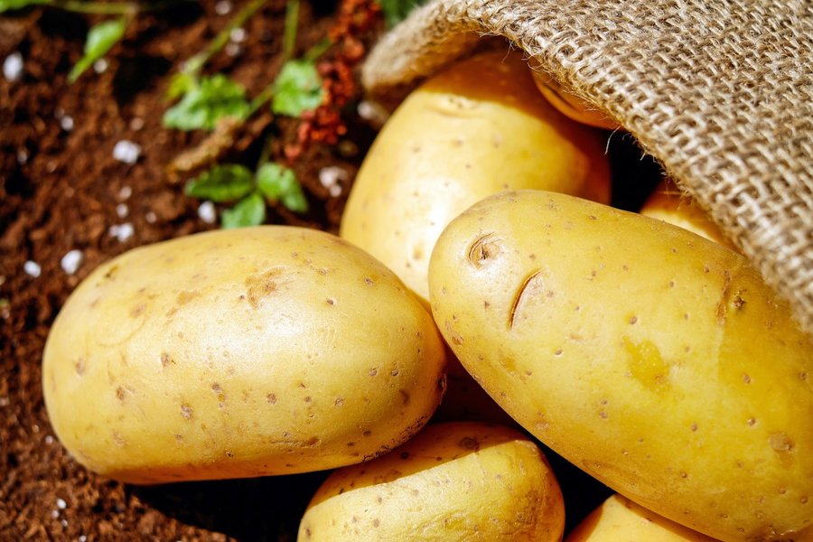 potatoes_vegetables_erdfrucht_bio_harvest_potato_sack-548418 (1)