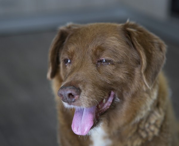 profimedia-0787512497