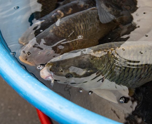 profimedia-0950490156