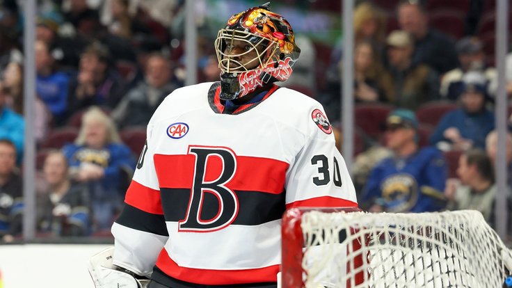 Malcolm Subban přichází do Pardubic