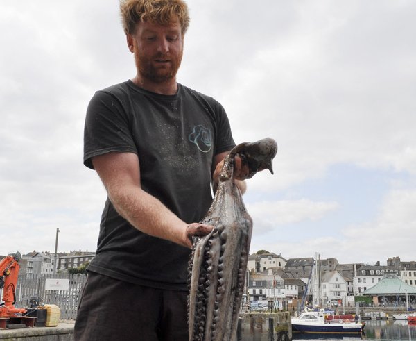 profimedia-1031901658