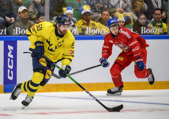 Tomáš Cibulka utrpěl v utkání se Švédskem zranění
