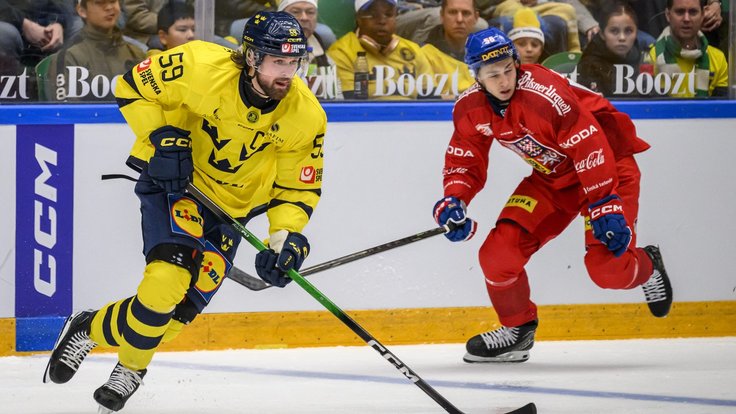 Tomáš Cibulka utrpěl v utkání se Švédskem zranění