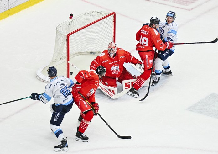 Liberečtí Tygři porazili olomoucké Kohouty