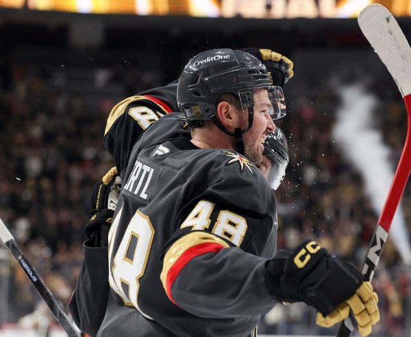 Tomáš Hertl se raduje z gólu