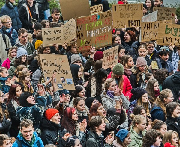 profimedia-1057883961